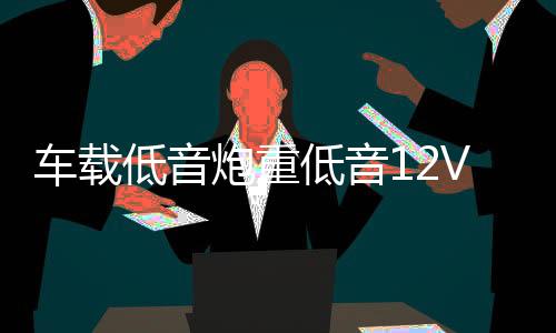 车载低音炮重低音12V小车改装汽车音响蓝牙货车24V大功率家用音箱下载