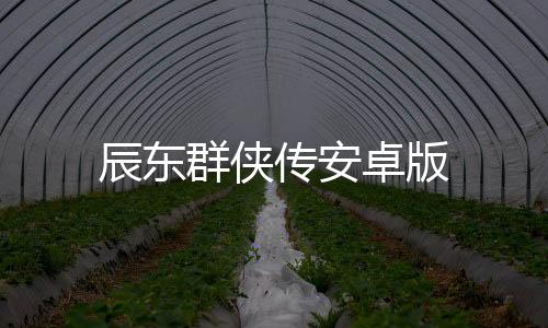 辰东群侠传安卓版下载