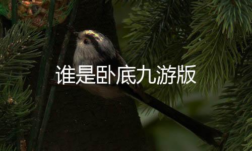 谁是卧底九游版下载
