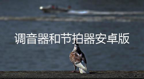 调音器和节拍器安卓版下载