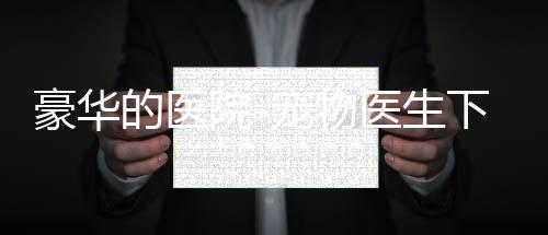 豪华的医院-宠物医生下载下载