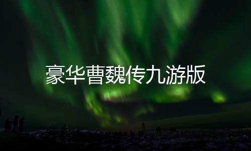 豪华曹魏传九游版下载