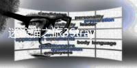 迷途猫之旅3StrayCatDoors3官方版