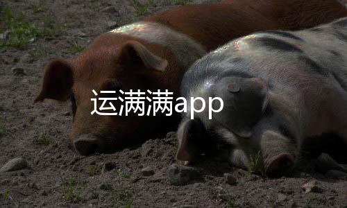 运满满app下载