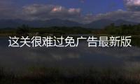 这关很难过免广告最新版