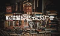躲猫猫秘密行动免广告