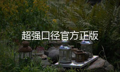 超强口径官方正版下载