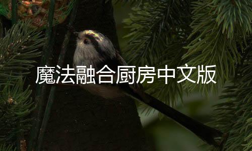 魔法融合厨房中文版下载