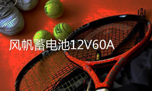 风帆蓄电池12V60AH标致301/308/307/408/508/3008/2008/汽车电瓶下载