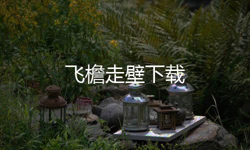 飞檐走壁下载下载