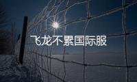 飞龙不累国际服