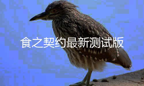 食之契约最新测试版下载
