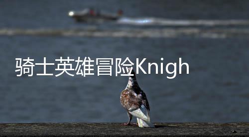 骑士英雄冒险Knight Hero下载