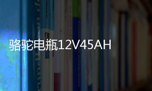 骆驼电瓶12V45AH适配长安面包车五菱宏光S轩逸思域十代汽车蓄电池下载