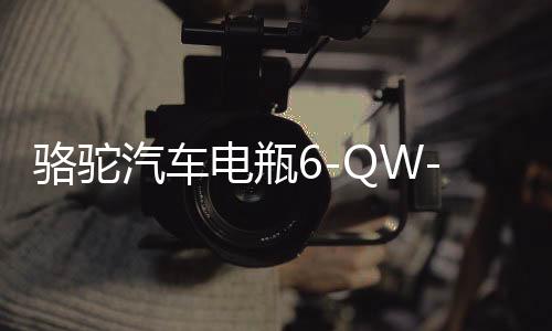 骆驼汽车电瓶6-QW-45适配雅阁本田CRV锋范杰德缤智12V45AH蓄电池下载
