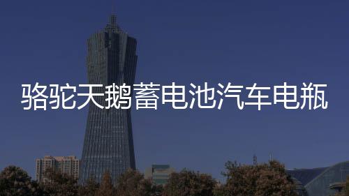 骆驼天鹅蓄电池汽车电瓶L2 400大众朗逸奇瑞科鲁丝速腾12V60AH下载