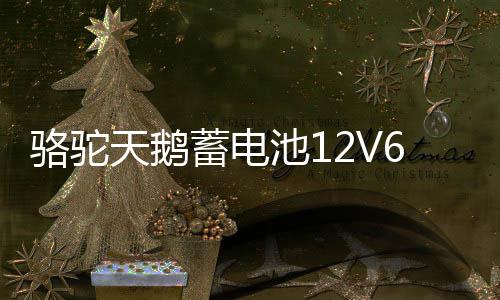 骆驼天鹅蓄电池12V60AH适配逆变摆摊照明农用小铲车汽车电瓶55D26下载