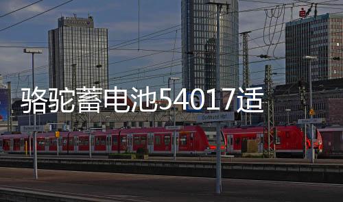 骆驼蓄电池54017适配比亚迪F0汽车54534风行SX6腾翼宝骏510电瓶下载