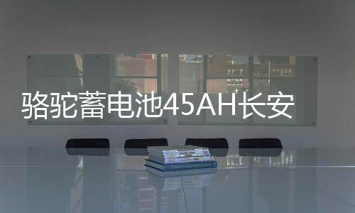 骆驼蓄电池45AH长安之星2东风小康K07S金杯小海狮X30原装汽车电瓶下载
