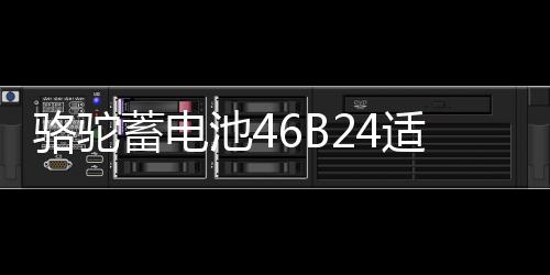 骆驼蓄电池46B24适配起亚K2现代瑞纳瑞奕雅绅特12V45ah汽车电瓶下载