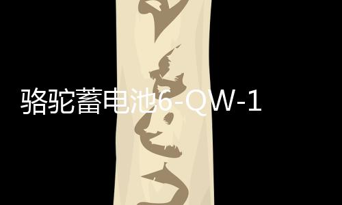骆驼蓄电池6-QW-135适配东风货车铲车拖拉机汽车电瓶 以旧换新下载
