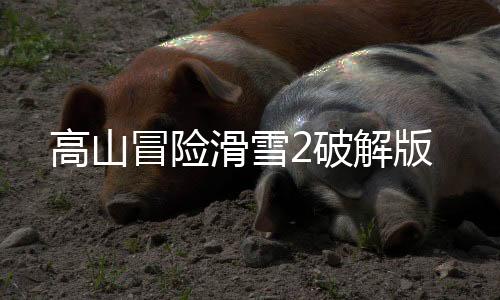高山冒险滑雪2破解版下载