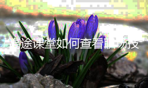 高途课堂如何查看职场技能?高途课堂查看职场技能方法下载