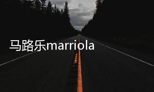 马路乐marriola汽车音响喇叭改装车载低音炮分频器套装汽车通用下载