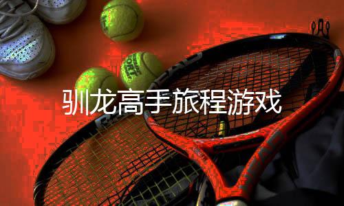 驯龙高手旅程游戏下载