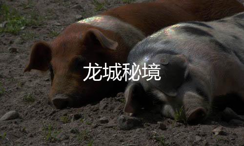 龙城秘境下载