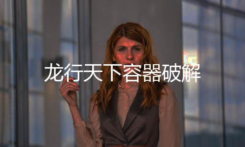 龙行天下容器破解下载