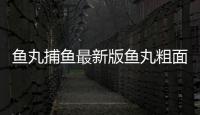 鱼丸捕鱼最新版鱼丸粗面