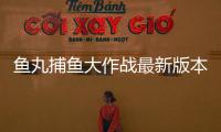 鱼丸捕鱼大作战最新版本