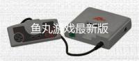鱼丸游戏最新版