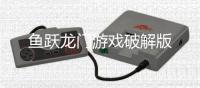 鱼跃龙门游戏破解版
