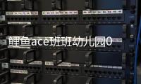 鲤鱼ace班班幼儿园0MDO菜单破解版
