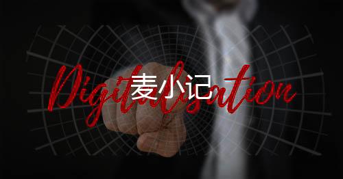 麦小记下载