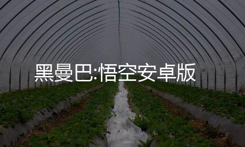 黑曼巴:悟空安卓版下载