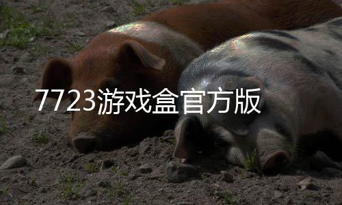 7723游戏盒官方版下载