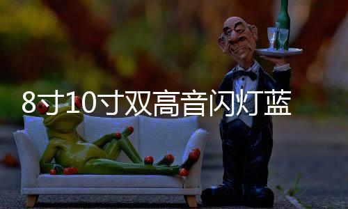 8寸10寸双高音闪灯蓝牙车载低音炮大功率功放汽车音响电脑音箱下载