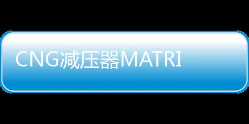 CNG减压器MATRIX意大利原装进口cng汽车天然气配件油改气减压阀下载