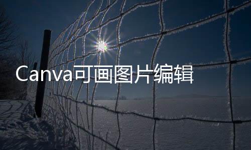 Canva可画图片编辑设计安卓版下载