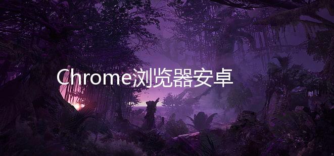 Chrome浏览器安卓版下载