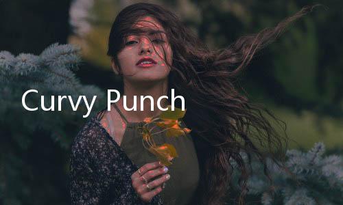 Curvy Punch 3D橡胶人拳击3D安卓版下载