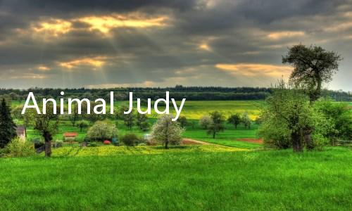 Animal Judy: Hamster care下载下载