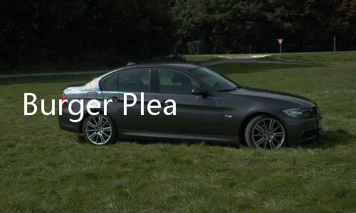 Burger Please游戏下载