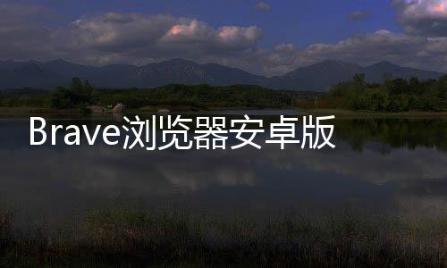 Brave浏览器安卓版 1.66.110下载
