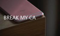 BREAK MY CASE安卓版