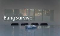 BangSurvivor向僵尸开炮国际服破解版