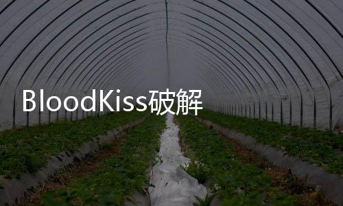 BloodKiss破解版下载